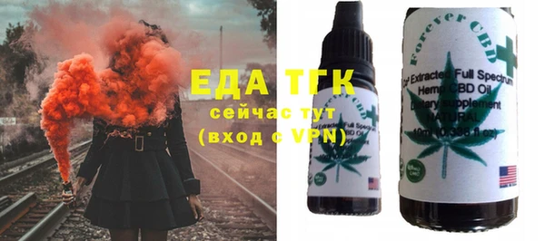 СК Пересвет