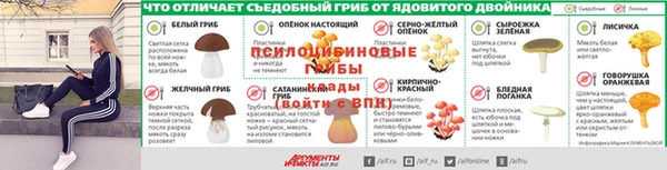 герыч Осташков