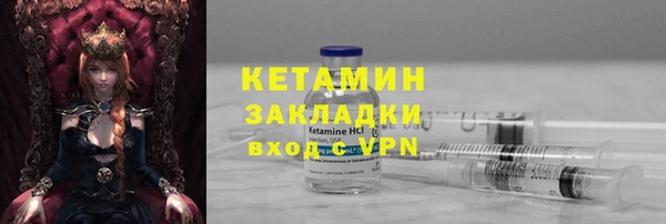 СК Пересвет