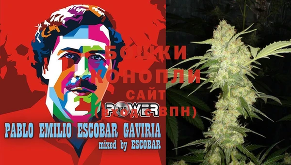 apvp Осинники
