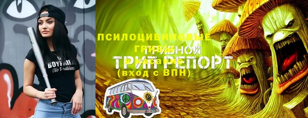 меф Переславль-Залесский