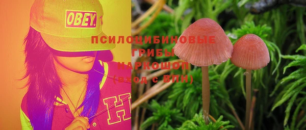 СК Пересвет