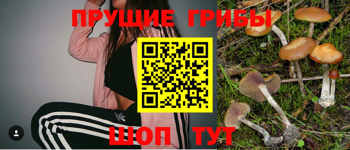 Псилоцибиновые грибы MAGIC MUSHROOMS  Вход с VPN  Новомосковск 